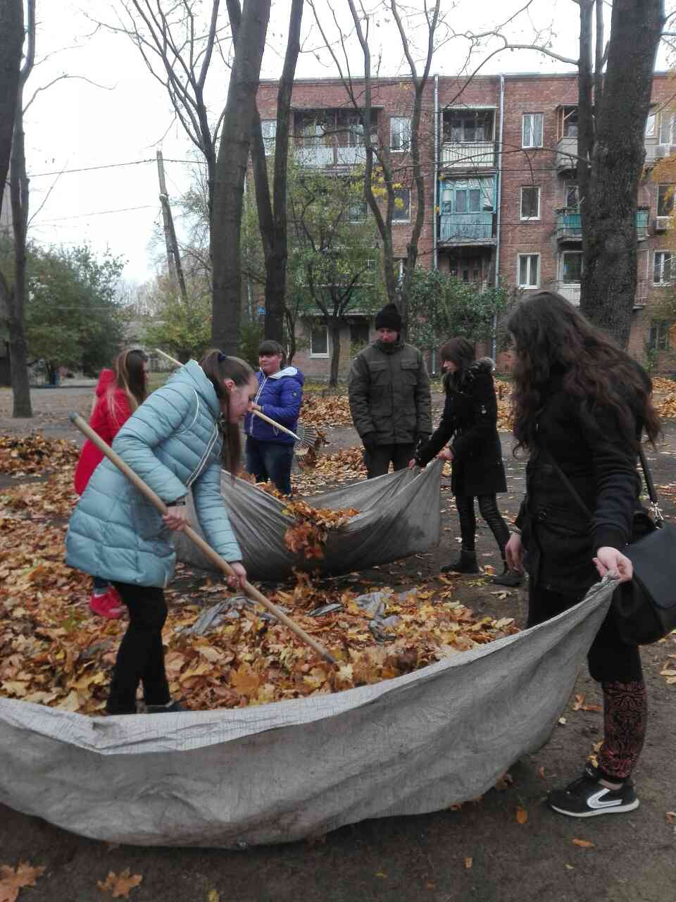 IMG-9fcf320919295391ece3ed83bcabd47a-V