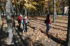 IMG-1ff2efb97312cfa632e3b3c087ecadfb-V